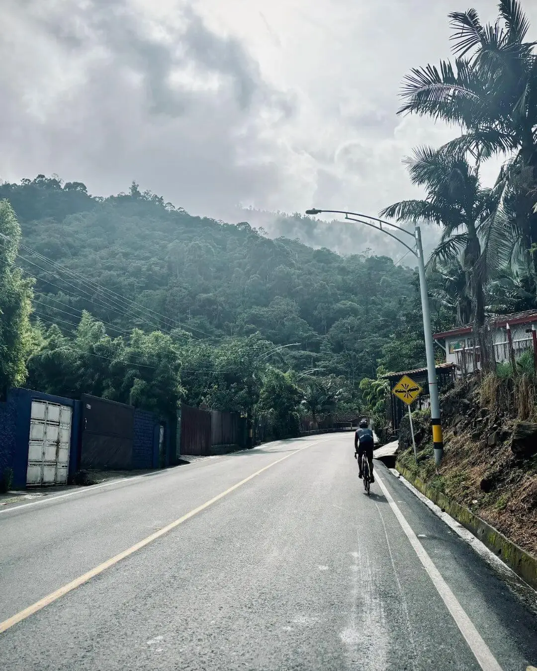 Review Altos Ciclying