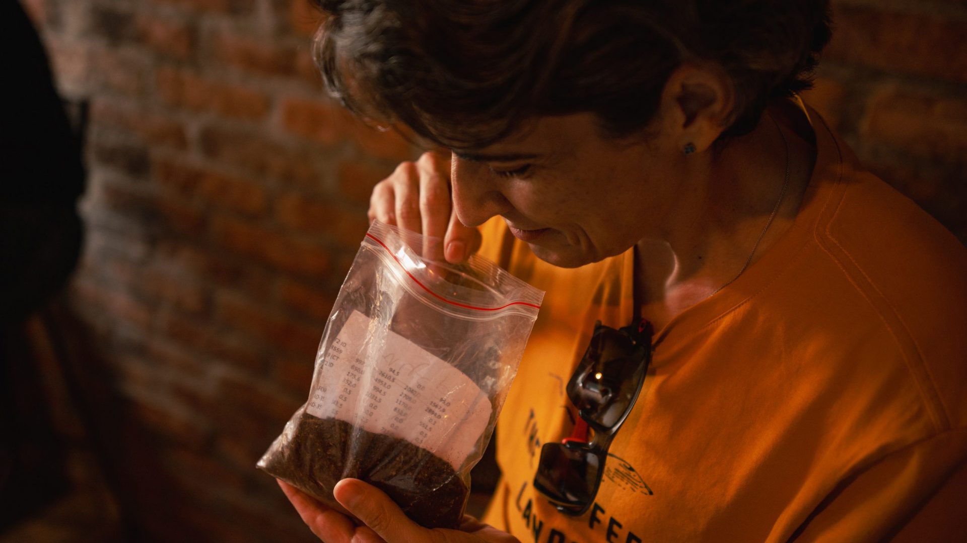 Altos_Coffee_lands-192